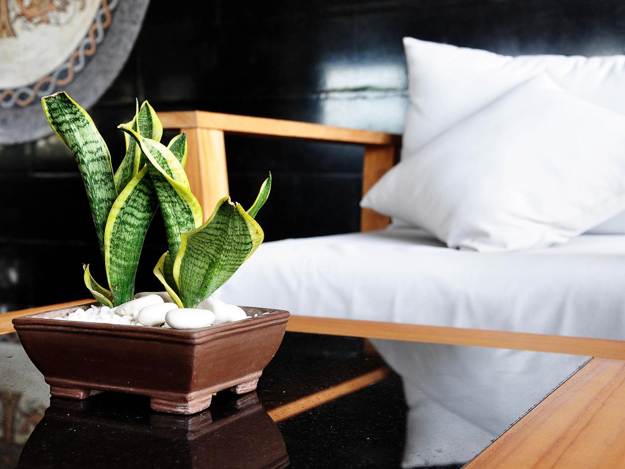 Zia Boutique Hotel Batam Экстерьер фото